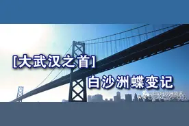 大武汉之首 白沙洲蝶变记图片