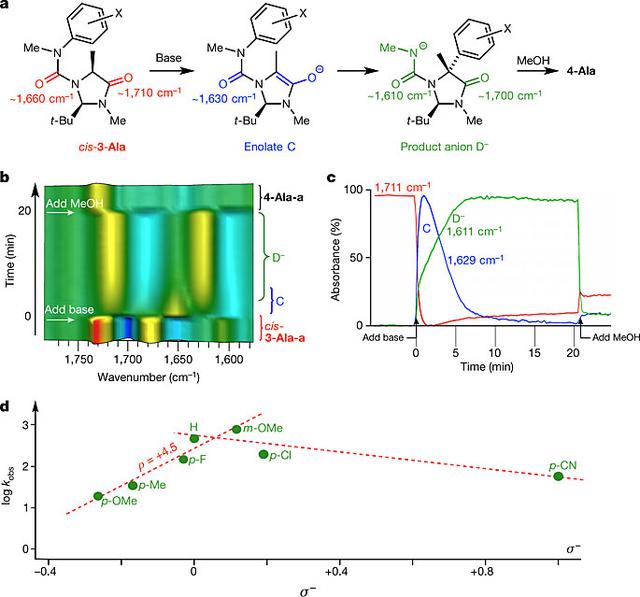 不用过渡金属催化剂的-氨基酸不对称芳基化