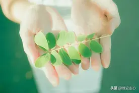 我想要和你白头到老，就算平平淡淡的也好图片