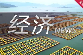 “一网通办”新延伸 闵行区和美团合作推出全国首个App在线办证服务图片