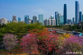 广东适合养老的4个优美小城，水质佳空气好，环境舒适安逸图片