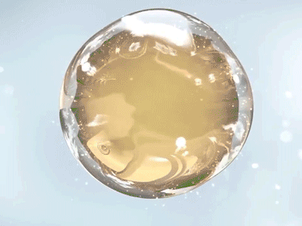 各国好用的身体乳