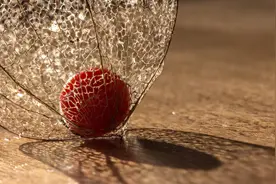 聊天时，男人问你“干什么呢”？教你4个俏皮回复“套牢”他图片