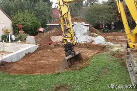 夫妻俩在后院挖了半亩鱼塘，太美了！换成我，老婆非打死我不可图片