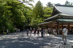 英文版《鬼灭之刃》_“柱子”蕴含的深意图片