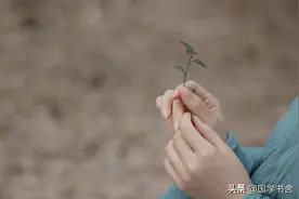 《淮南子》：不要拿狭隘的认知，去衡量客观的世界图片