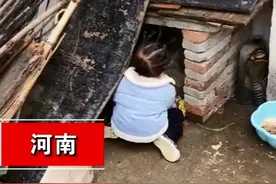 萌娃进狗窝扒拉狗崽子，犹如探囊取物，狗妈妈的神奇反应令人发笑图片