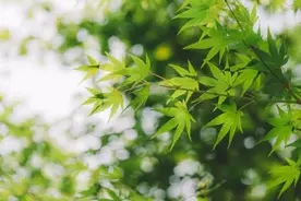 十句俗语，十个人生智慧！图片