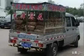 曾经“火爆全国”的天津大麻花，车里到底藏过多少人？图片