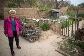 老夫妻不住县城小院回农村种菜养鸡，说这样生活比在城里的老人强图片