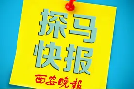 真·熊出没！秦岭拍到野生黑熊：在镜头前突然停下挠痒痒图片