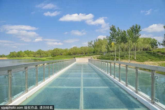 免费还不用预约！这个公园人少景美，还可以骑车~