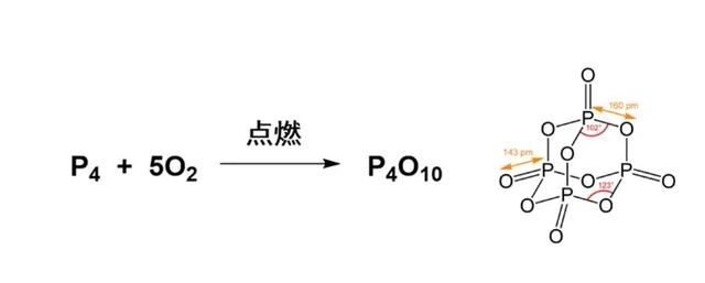 磷：尿液、生命之源与致命毒药