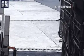千余只蜜蜂“大闹”加油站 消防员化身“喷水娃”成功驱蜂图片