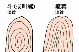 罗，即非罗，是名罗——趣谈手罗图片