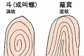 罗，即非罗，是名罗——趣谈手罗图片