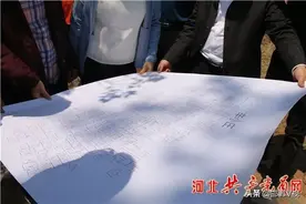 临漳：小角度 大视野 人居环境整治谱新篇图片