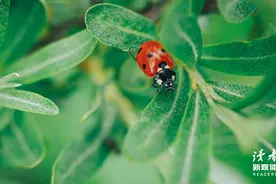 余生：让自己开心，让别人放心，让家人安心图片