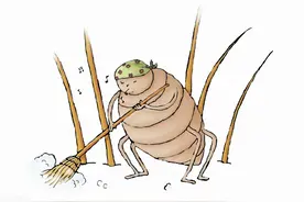 难忘的岁月（连载 虱子泛滥的年代）——刘生文图片