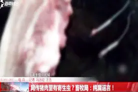 网上疯传“猪肉里有寄生虫”，对居民和商贩产生不小的影响视频封面