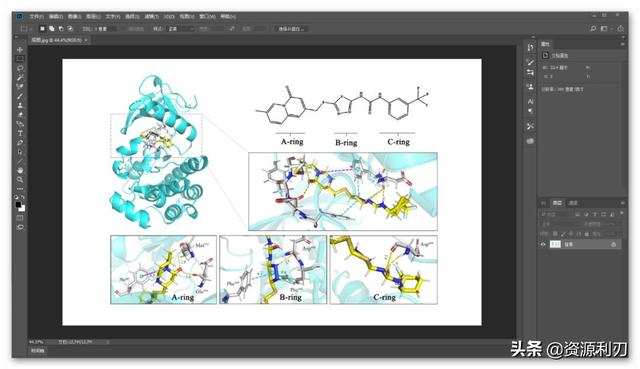 科研论文作图｜零基础用Pymol绘制蛋白质-小分子结合模式图