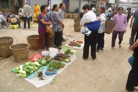 保定市定州市主要庙会赶集时间表图片