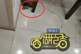 今天，杭州不同的地方有蛇频繁出没！有一条爬上六楼……图片