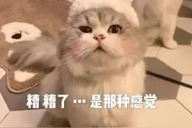 猛男撒娇你能顶得住？图片