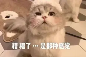猛男撒娇你能顶得住？图片