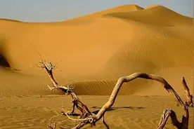 沙漠里的沙子能利用起来吗？为什么？图片