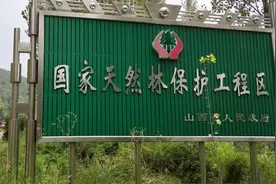 林草科普|中国天然林资源保护工程图片