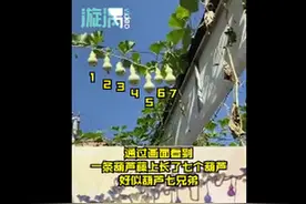 现实版的葫芦娃！山西一根藤长七个葫芦，网友：仿佛听见叽喳叫“爷爷”图片