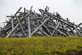 安徽投资1.88亿建了座美术馆，外形似鸡窝，又好似山寨版的鸟巢图片