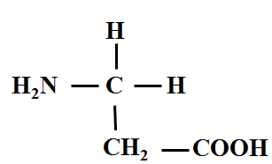 高中生物：蛋白质的基本单位——氨基酸 教学设计