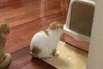 搞笑GIF 厕所排队篇，前面的快点，我等不及了啊图片