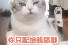 有朋友在等我吗，表情包新鲜出炉啦图片