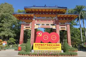 汕头人的集体回忆 中山公园菊展本周六开幕！图片