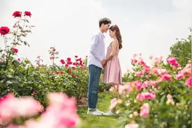 五一出游：腾冲栖花岭赏花攻略，带你玩转鲜花节图片