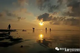 新加坡昨夜达30度气温，气象局预测8月将持续高温图片