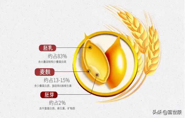天然维生素E宝库—小麦胚芽，早餐加点它养气血、健脾胃