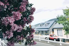 胎盘植入的海扶治疗：光和爱的到来 让伤害更小图片