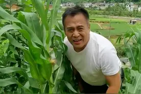 “欧阳锋”成名不忘本，回农村穿着朴素掰玉米，父亲曾卖血赚学费图片
