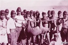 战争后的战利品如何处理？抢走偷走也有直接归还！萨沙问答第38集图片