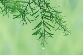 放不下一个人，不用断链，这样做最聪明图片