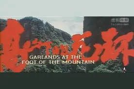 这也许是我国最好的抗战题材电影——《高山下的花环》图片