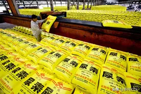 雨后撒尿素好不好？到底应该是雨前撒还是雨后撒？图片