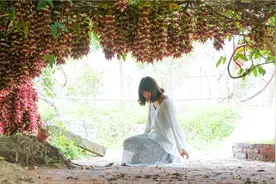给大家介绍几个清远赏花地，你不一定知道，你认识几种杜鹃花图片