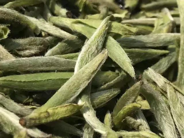 茶叶上的那些“毛毛”，究竟是怎么一回事？