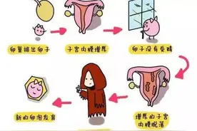 大姨妈时排出肉一样的血块，是不是“宫寒”？图片