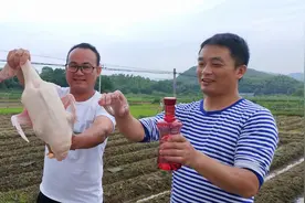 鸭子脱毛原来可以用这种方法，就像脱衣服一样快，长见识了图片